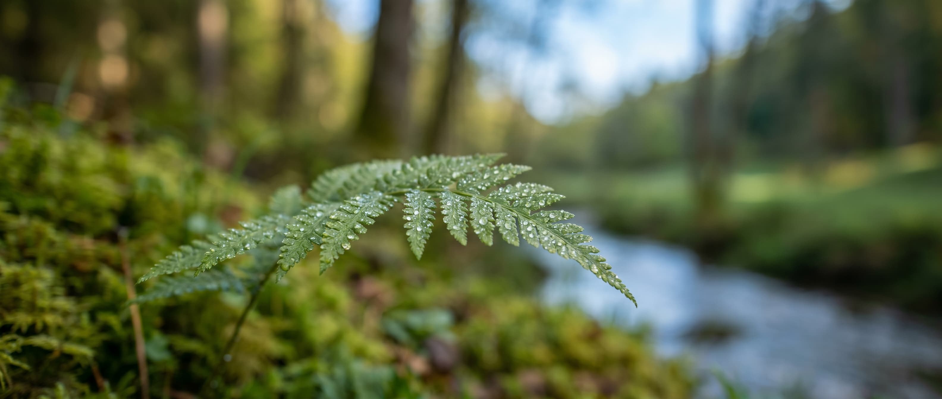Beginners Photography Workshop